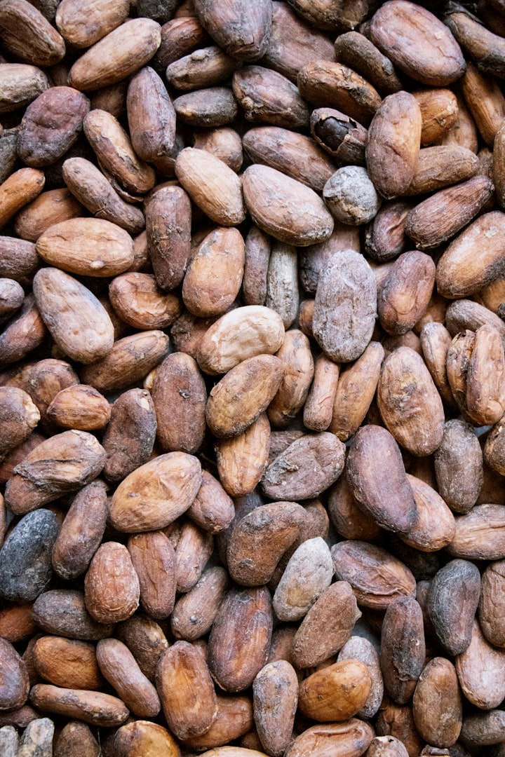 cacao
